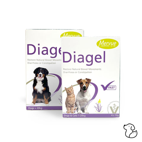 Diagel Power for Dogs and Cats Gastrointestinal Health