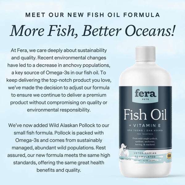 Fish Oil for Dogs and Cats