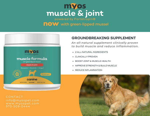 MYOS Muscle & Joint Formula with Green Lipped Mussel