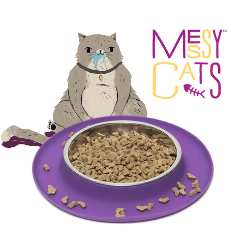 Single Silicone Cat Feeder with Stainless Steel Bowl
