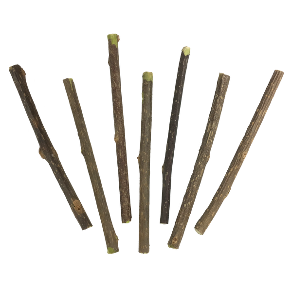 King-Size Silvervine Sticks