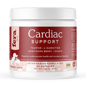 Cardiac Support for Cats and Dogs