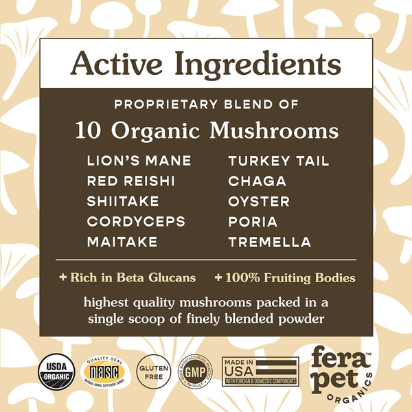 Organic Mushroom Blend for Immune System