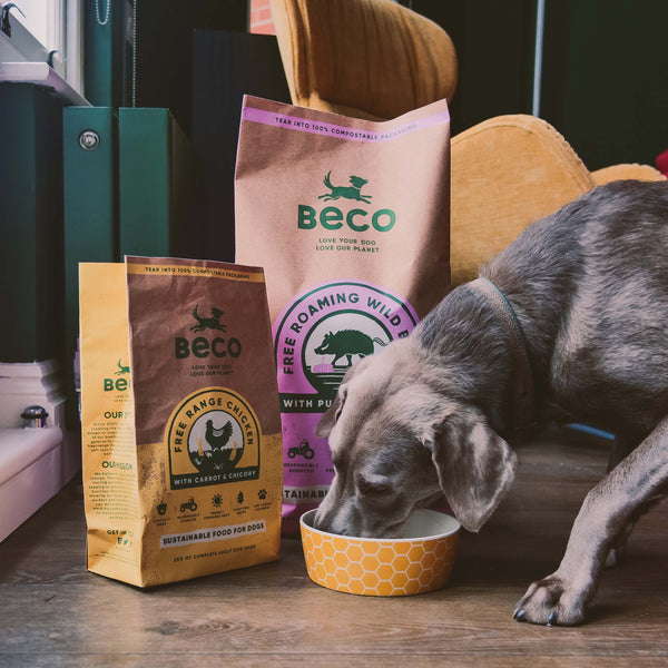 BECO Free Range Chicken with Carrot & Chicory Dry Adult Dog Food