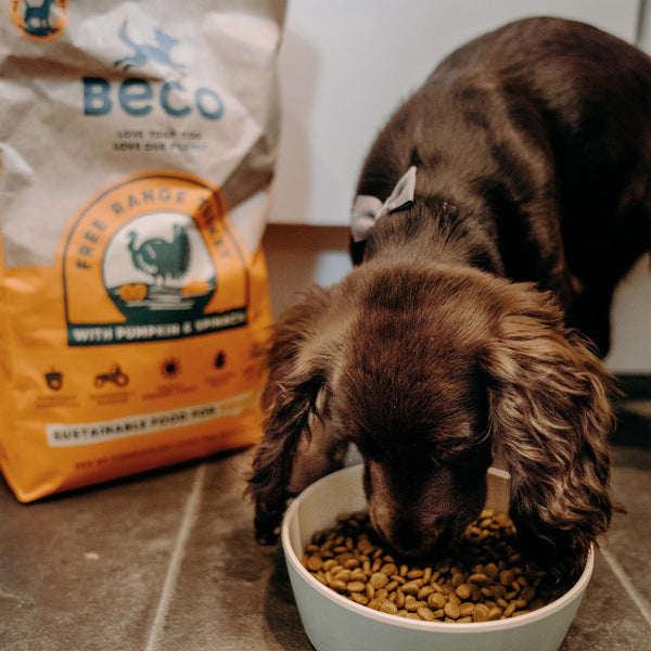 BECO Free Range Turkey with Pumpkin & Spinach Dry Food for Puppies