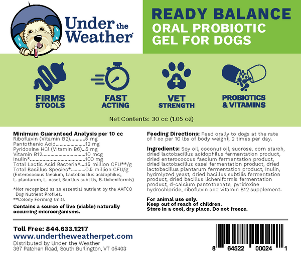 Ready Balance Gel for Dogs