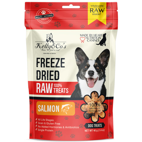 Kelly&Co's Freeze-Dried Salmon Dog Treat 40g