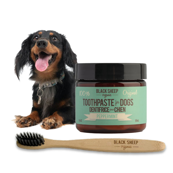 Peppermint Organic Toothpaste and Bamboo Toothbrush for dogs