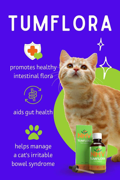 TumFlora - Natural Support for Inflammatory Bowel Disease in Pets